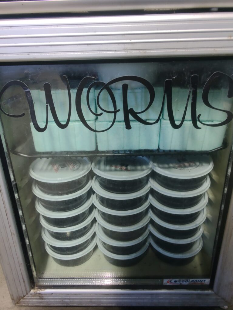 Worms